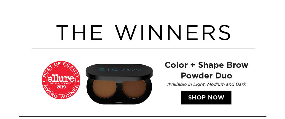 Color + Shape Brow Powder Duo